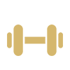 Avenue 151 Yorkville - Gym
